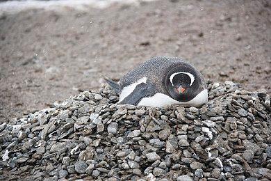 侠乂行浪迹天涯房子建造在哪里好？侠乂行开局家园建造位置攻略